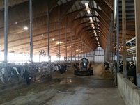 Click on Agri-Light Free Stall Barn Lighting